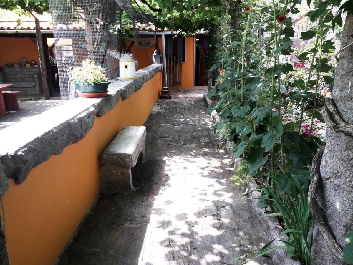 Quinta Da Moagem Villa Macedo de Cavaleiros Kültér fotó